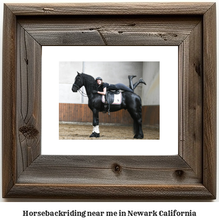 horseback riding near me in Newark, California